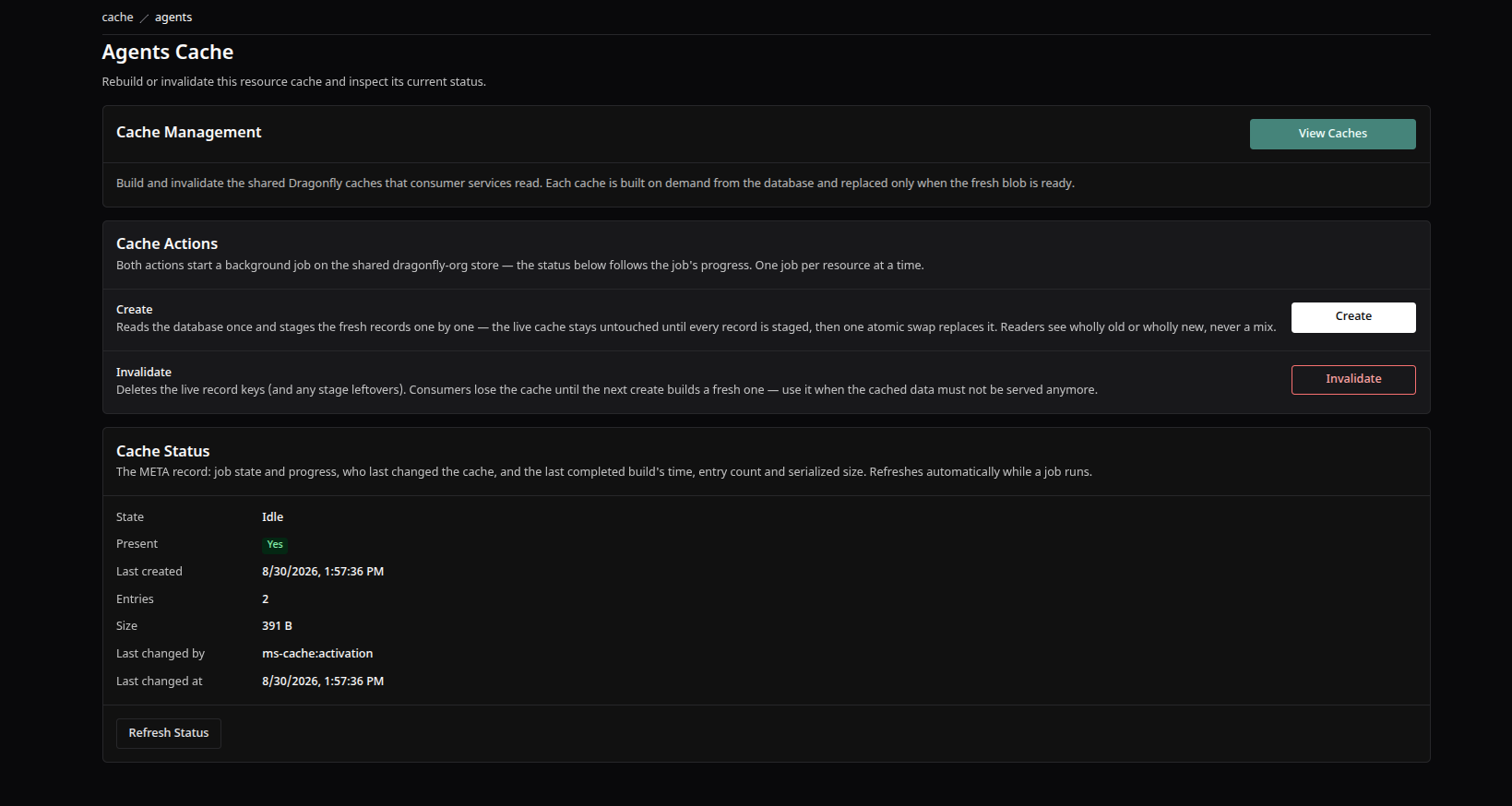 Example cached agent resource card