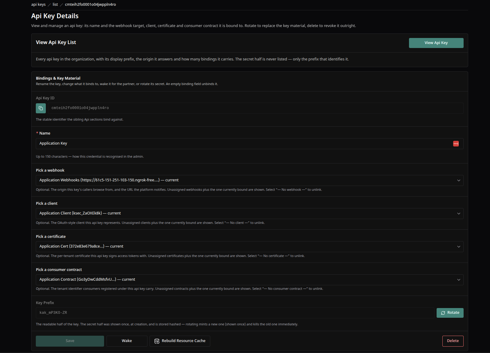 API key detail page